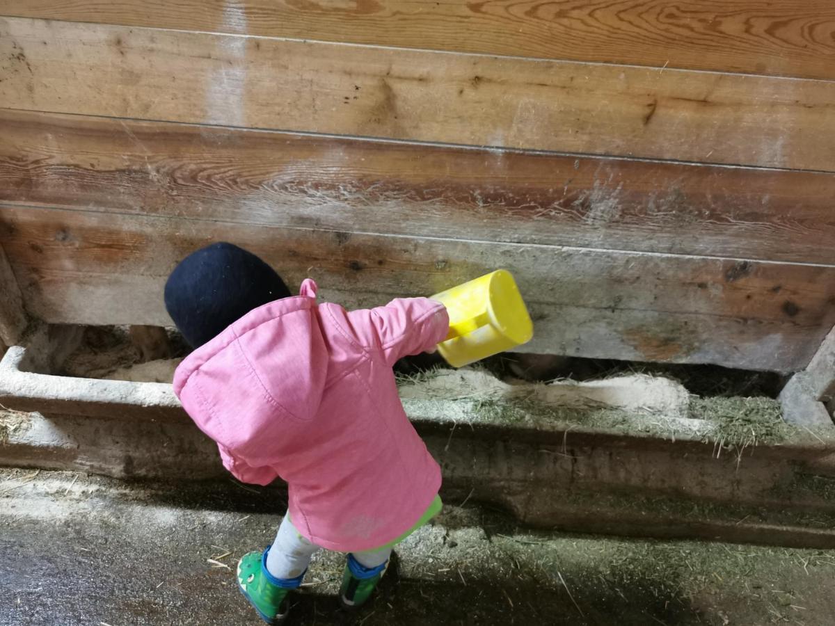 Landhaus Taurer Kals-am Großglockner Buitenkant foto