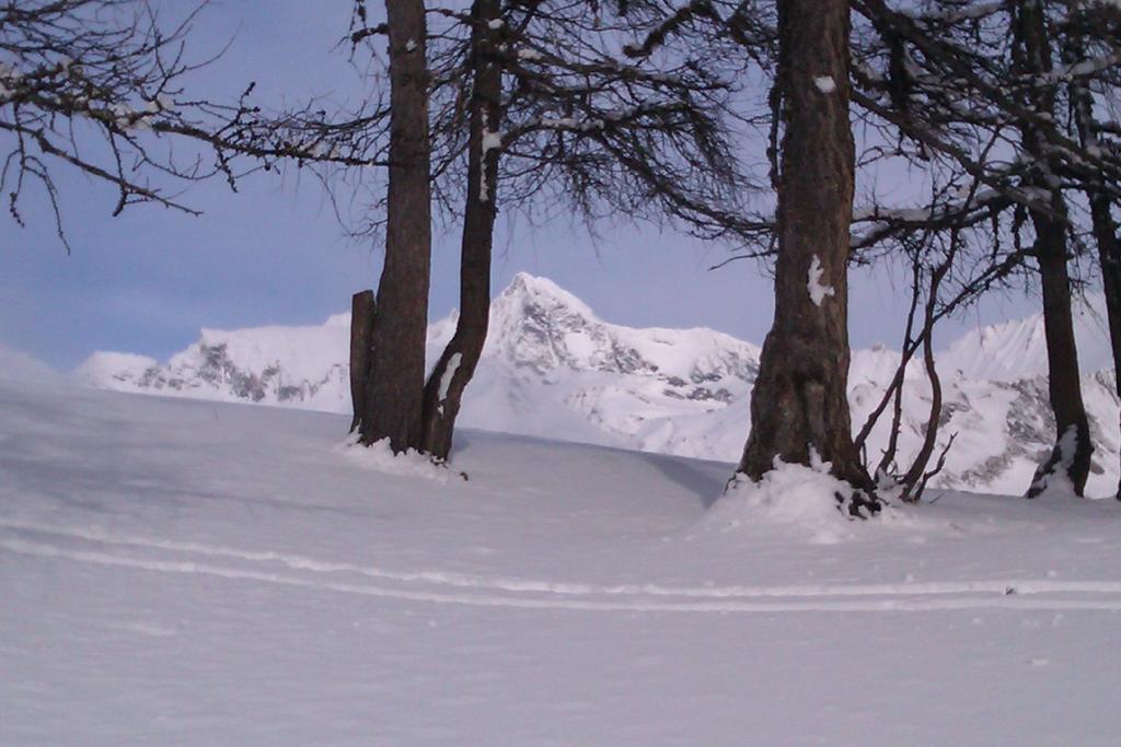 Landhaus Taurer Kals-am Großglockner Buitenkant foto